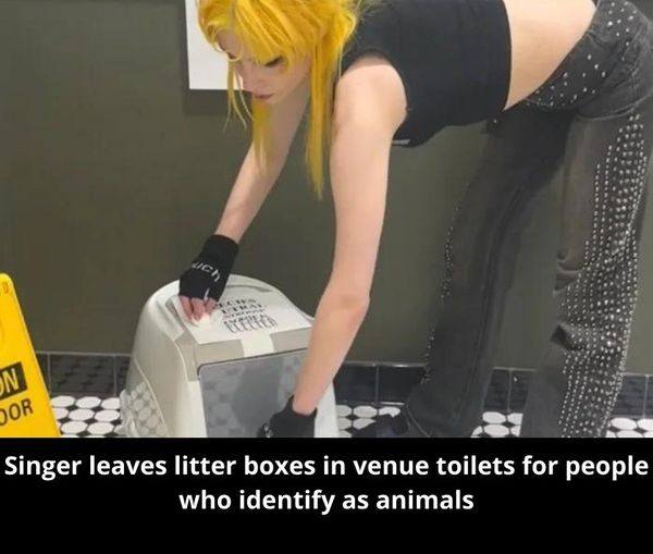 A Unique Move: Artist Promotes Inclusivity with Litter Boxes in Restrooms