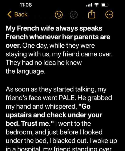 I Invited My Friend Over & His French Skills Exposed a Family Secret