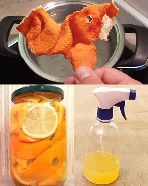 Unlock the Full Potential of Citrus Peels