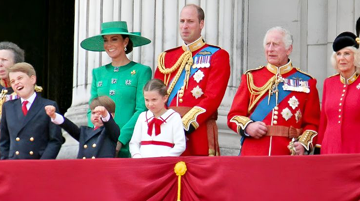 Prince Harry’s Future in the Royal Family