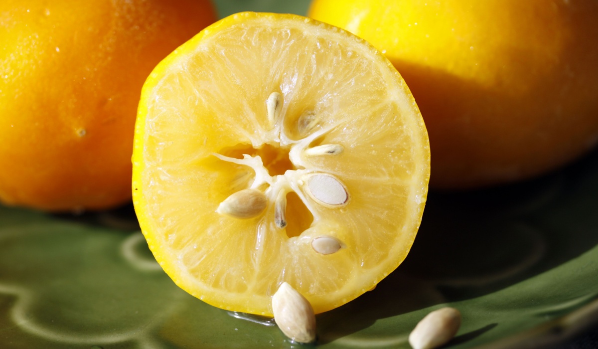 Freshly cut Meyer lemon with seeds.